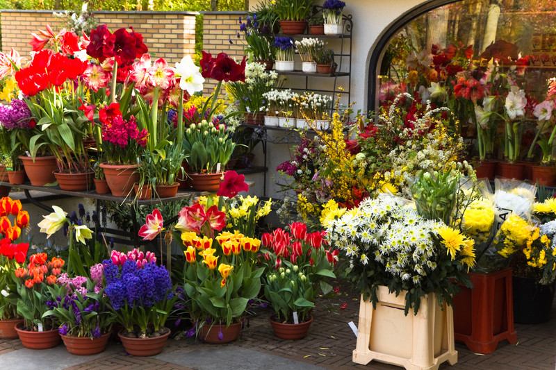 Florists Insurance | Aegis Insurance & Financial Services