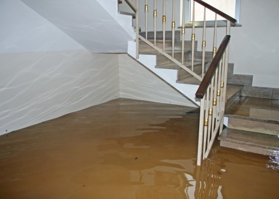 Staying Safe and Protecting Your Assets During a Flood