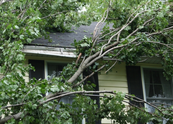 InsurTexas can help protect your home or business from damage caused by severe fall or winter weather.  