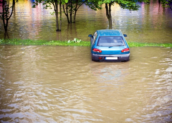 How To Avoid Purchasing A Vehicle With Flood Damage