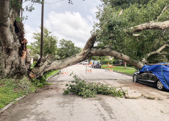 Three Lessons We Can Learn from Hurricane Nicholas