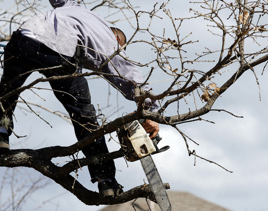 Home Repairs and Improvement Projects Best Left to Professionals